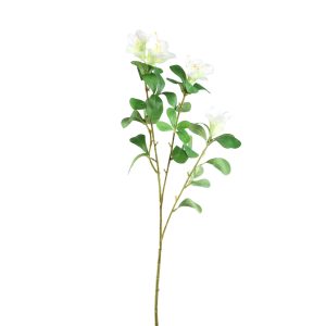 Garden Flower White Azalea With Leaves (set of 12)