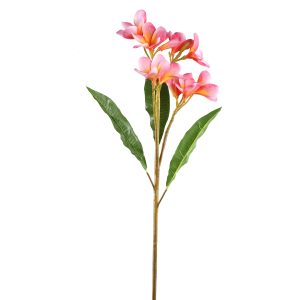 Garden Flower Pink With Leaves (set of 12)